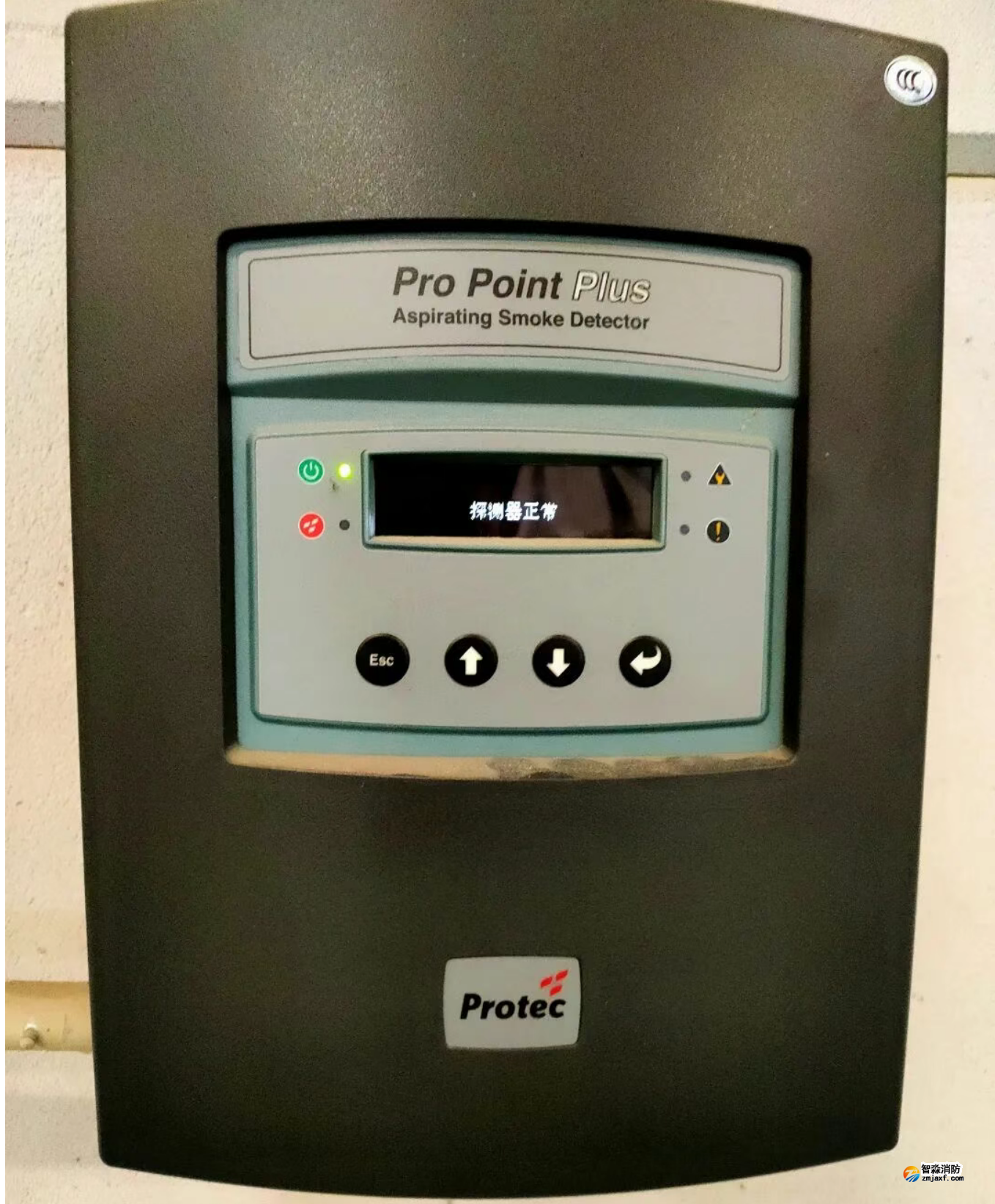 1769411238124378.png 1769411238124378.png